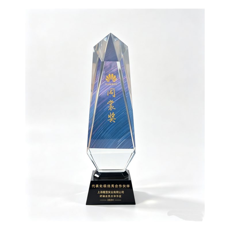同蒙奖 代表处级优秀合作伙伴 2024
